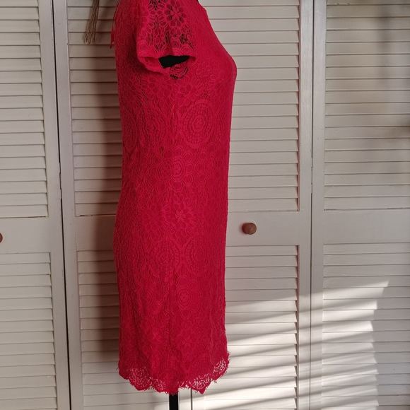 Laundry By Shelli Segal Pink Lace Mini Dress - Picture 4 of 12